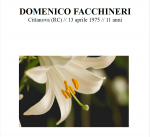 Domenico Facchineri.png